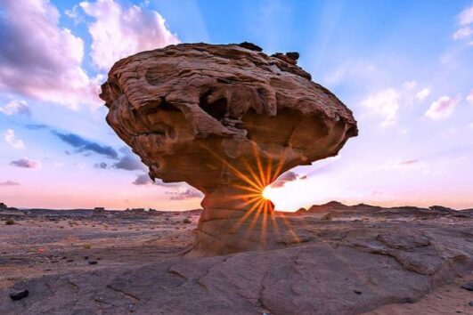 circuit organisé arabie Saoudite