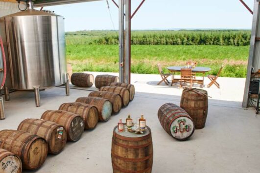 circuit whisky irlande