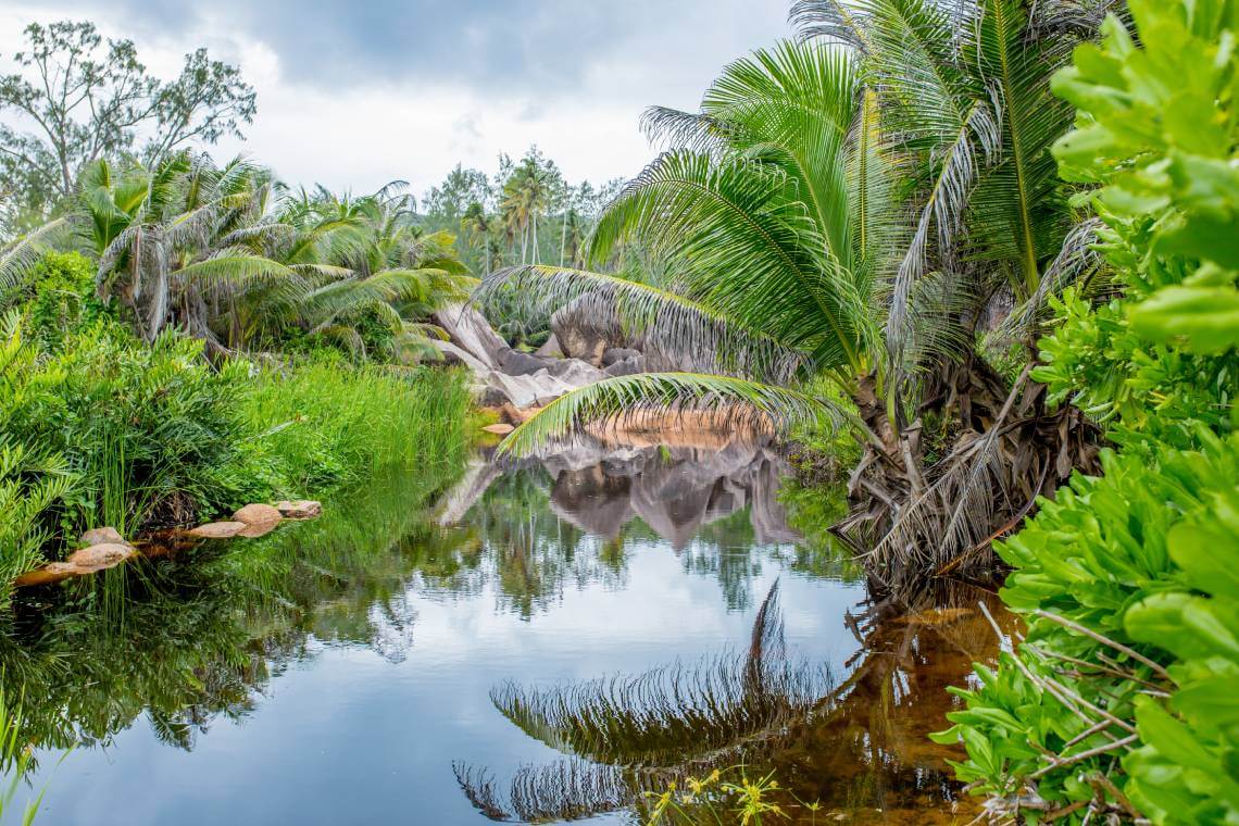 Réserves naturelles aux Seychelles