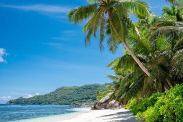 séjour combine 2 iles Seychelles