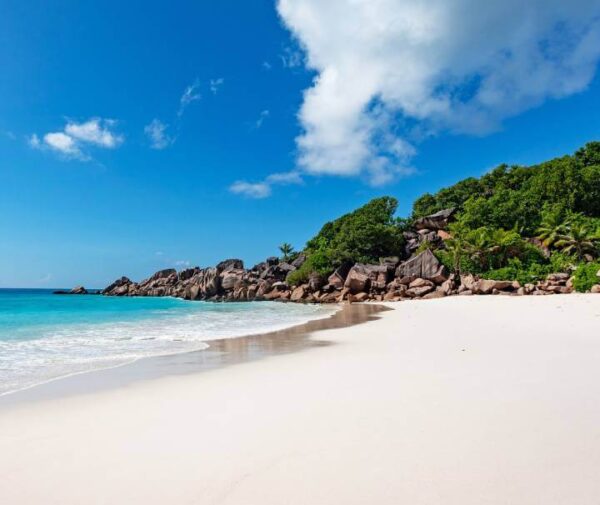 Voyage Seychelles 3 Îles, Séjour Insulaire Époustouflant.