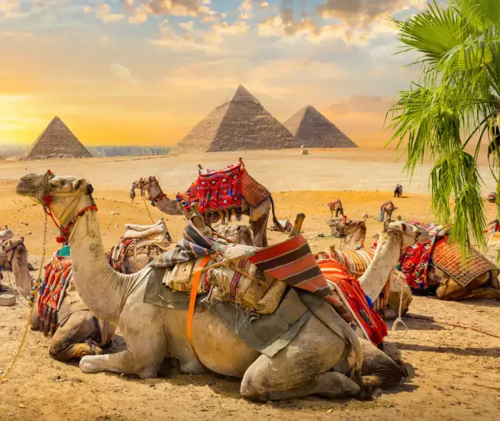 circuit le Caire Hurghada