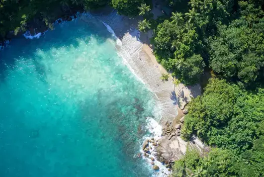 Combiné seychelles