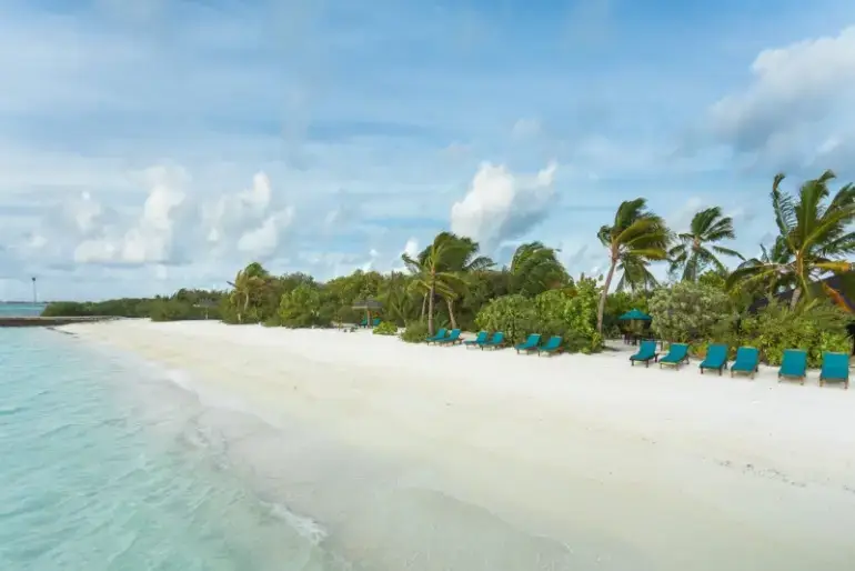 Maldives Canareef Maldives