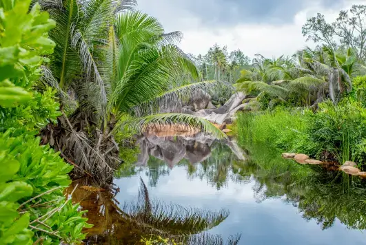 3 Îles